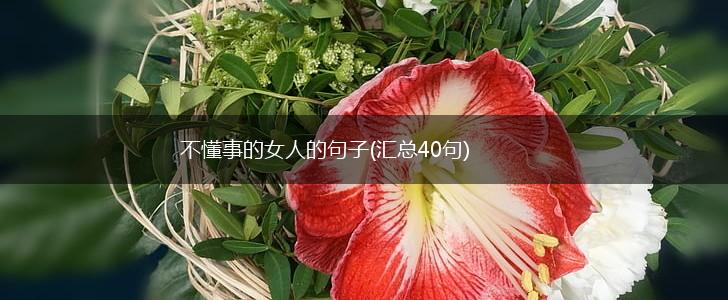 不懂事的女人的句子(汇总40句),第1张