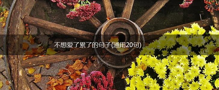 不想爱了累了的句子(通用20句),第1张