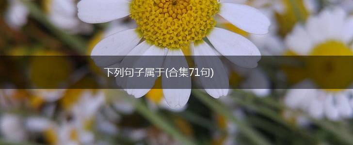 下列句子属于(合集71句),第1张