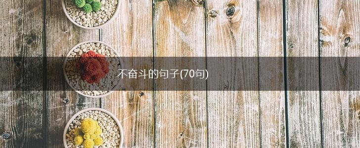 不奋斗的句子(70句),第1张