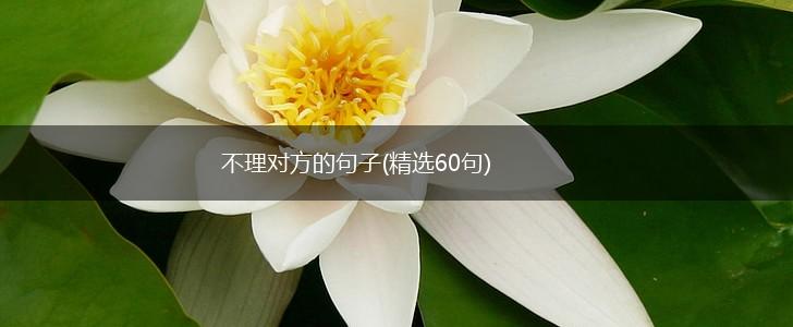 不理对方的句子(精选60句),第1张