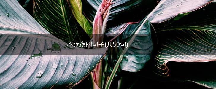不眠夜的句子(共50句),第1张