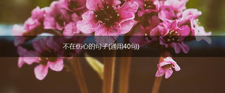 不在伤心的句子(通用40句),第1张
