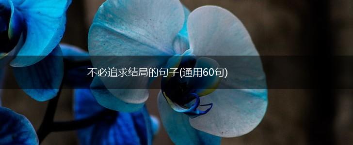 不必追求结局的句子(通用60句),第1张