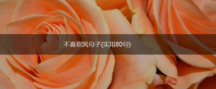 不喜欢风句子(实用80句),第1张