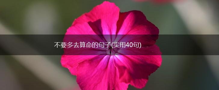 不要多去算命的句子(实用40句),第1张