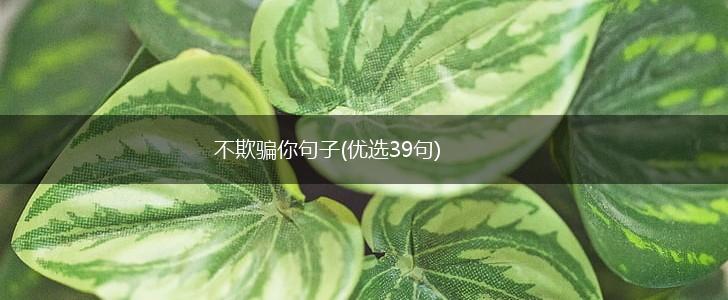 不欺骗你句子(优选39句),第1张