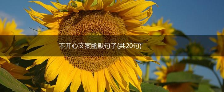 不开心文案幽默句子(共20句),第1张
