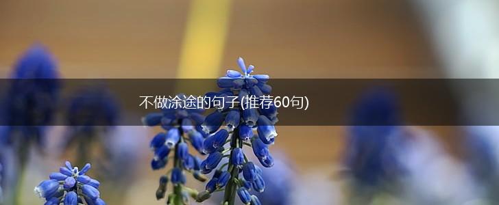 不做涂途的句子(推荐60句),第1张