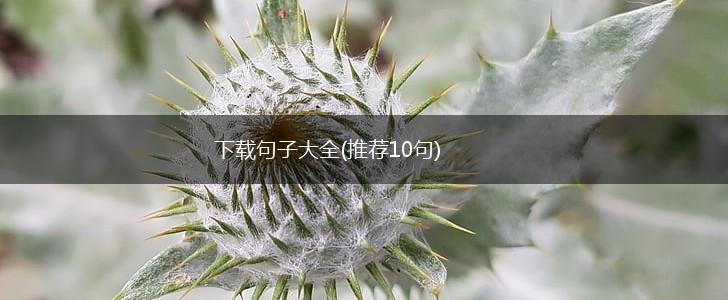 下载句子大全(推荐10句),第1张