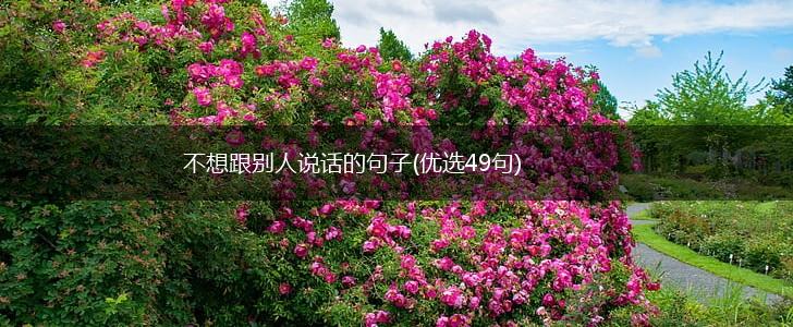 不想跟别人说话的句子(优选49句),第1张