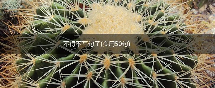 不得不写句子(实用50句),第1张