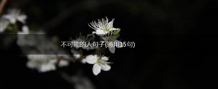 不可能的人句子(通用15句),第1张