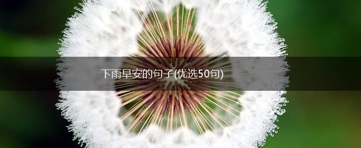 下雨早安的句子(优选50句),第1张