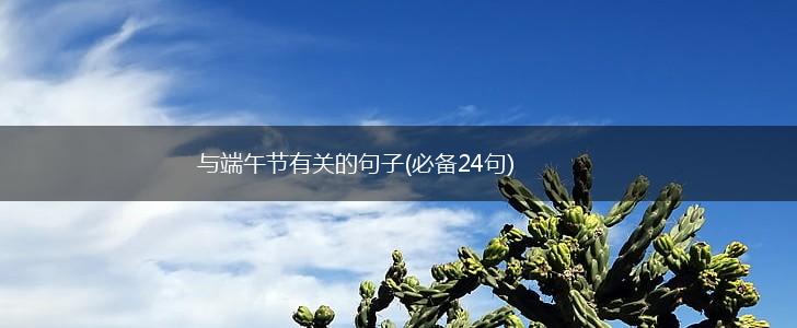 与端午节有关的句子(必备24句),第1张