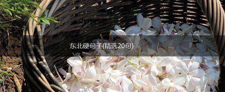 东北硬句子(精选20句),第1张