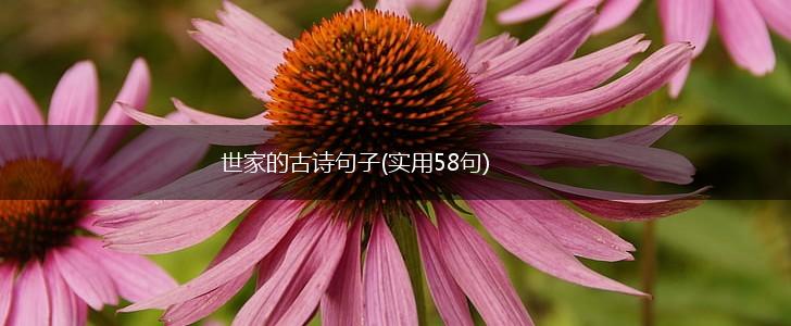 世家的古诗句子(实用58句),第1张