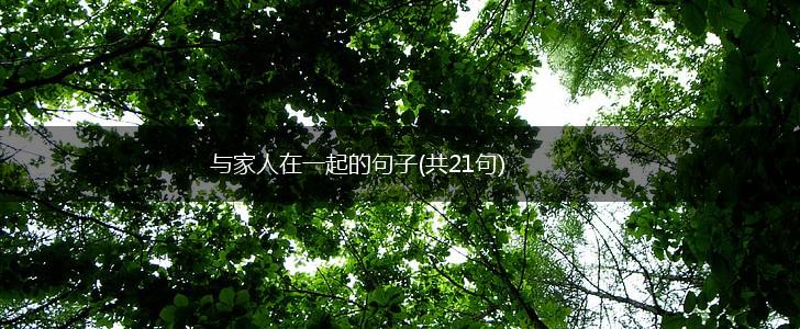 与家人在一起的句子(共21句),第1张
