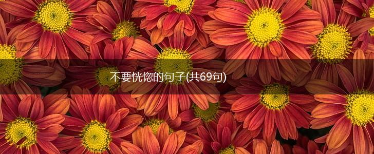 不要恍惚的句子(共69句),第1张