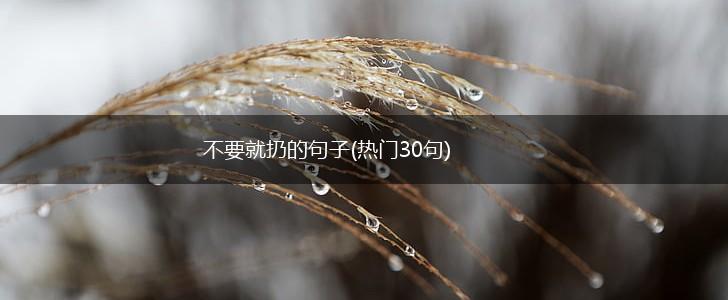 不要就扔的句子(热门30句),第1张