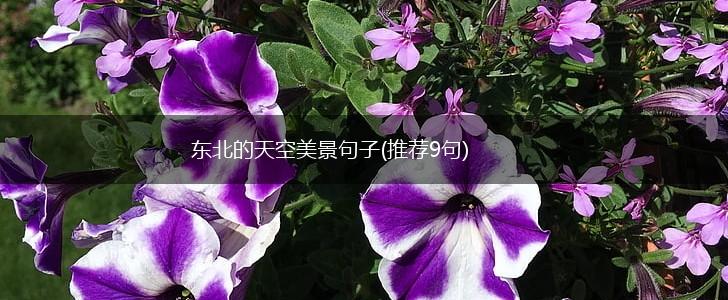 东北的天空美景句子(推荐9句),第1张