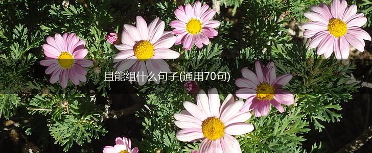 且能组什么句子(通用70句),第1张