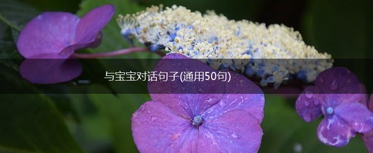 与宝宝对话句子(通用50句),第1张