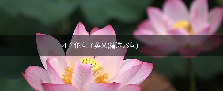 不舍的句子英文(精选59句),第1张