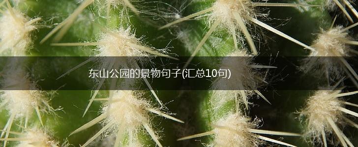 东山公园的景物句子(汇总10句),第1张