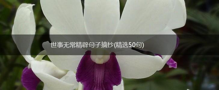 世事无常精辟句子摘抄(精选50句),第1张