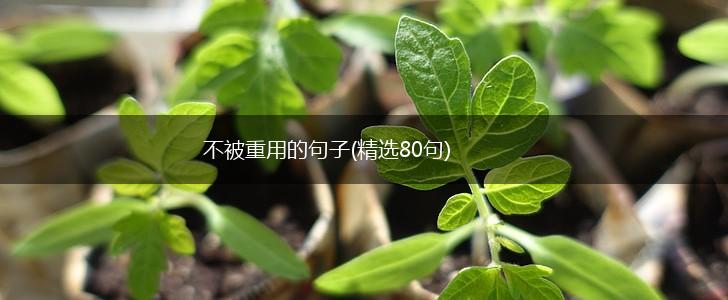 不被重用的句子(精选80句),第1张