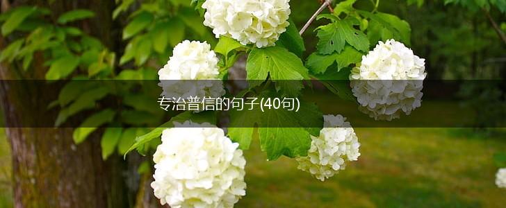 专治普信的句子(40句),第1张