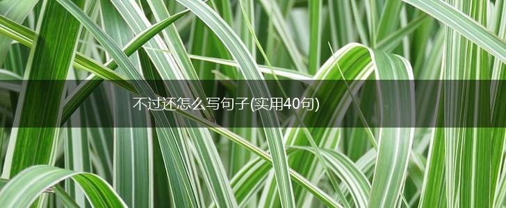不过还怎么写句子(实用40句),第1张