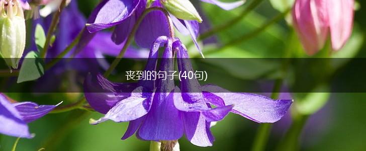 丧到的句子(40句),第1张