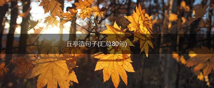 丘亭造句子(汇总80句),第1张