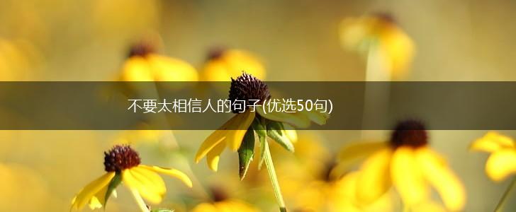 不要太相信人的句子(优选50句),第1张
