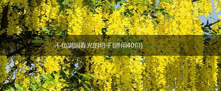 不负满园春光的句子(通用40句),第1张