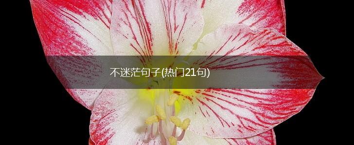 不迷茫句子(热门21句),第1张