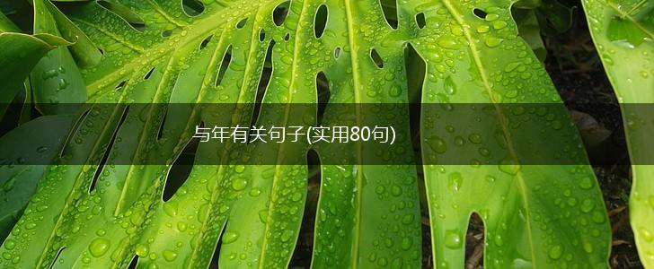 与年有关句子(实用80句),第1张