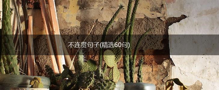 不连贯句子(精选60句),第1张