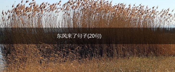 东风来了句子(20句),第1张