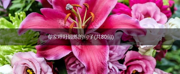 专家呼吁锻炼的句子(共80句),第1张
