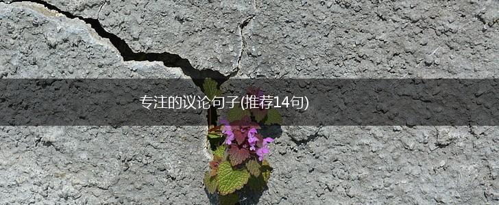 专注的议论句子(推荐14句),第1张
