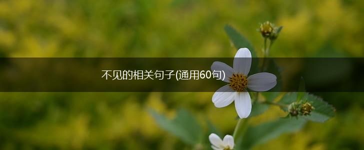 不见的相关句子(通用60句),第1张