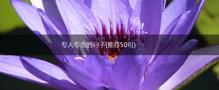 专人专责的句子(推荐50句),第1张