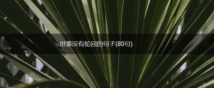 世事没有轮回的句子(80句),第1张