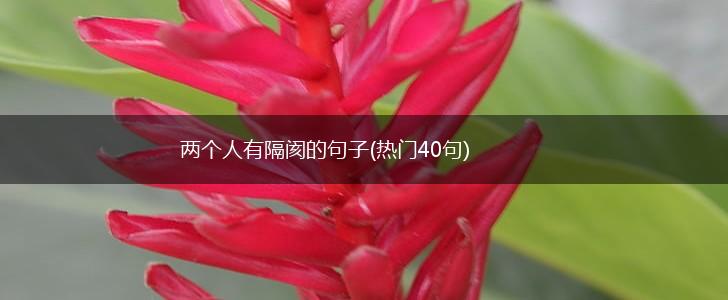 两个人有隔阂的句子(热门40句),第1张