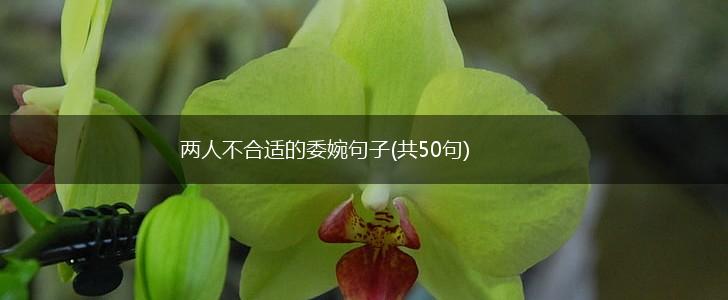两人不合适的委婉句子(共50句),第1张