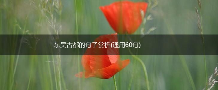 东吴古都的句子赏析(通用60句),第1张