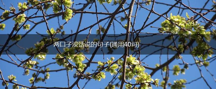 两口子没话说的句子(通用40句),第1张